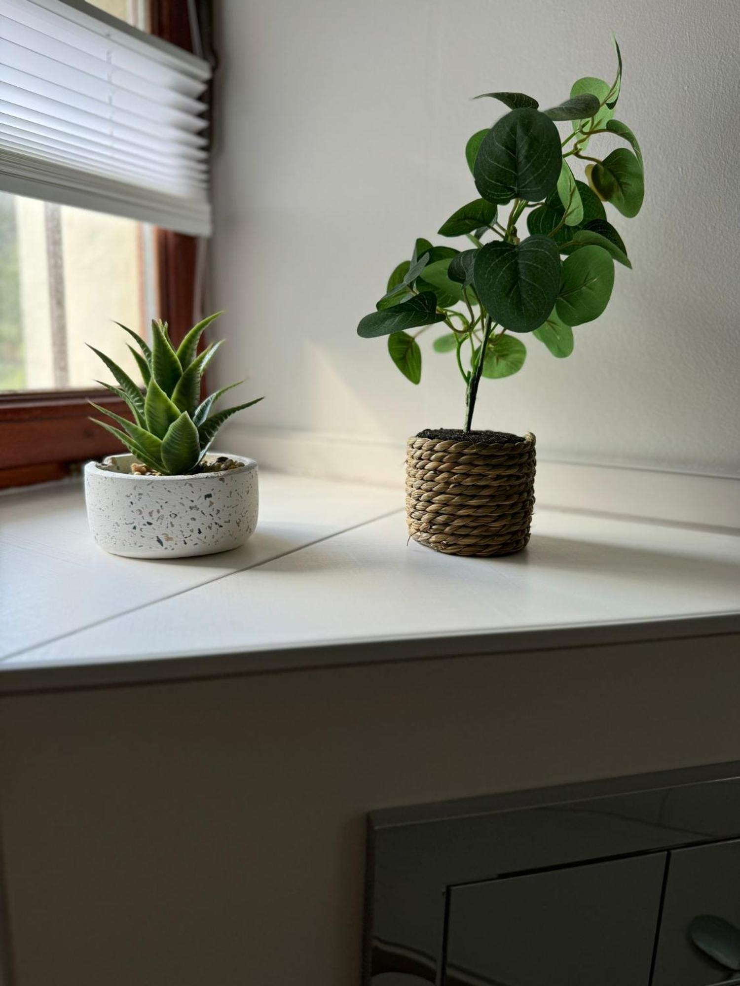 Ferienwohnung Neue Quickbox Thale Exterior photo
