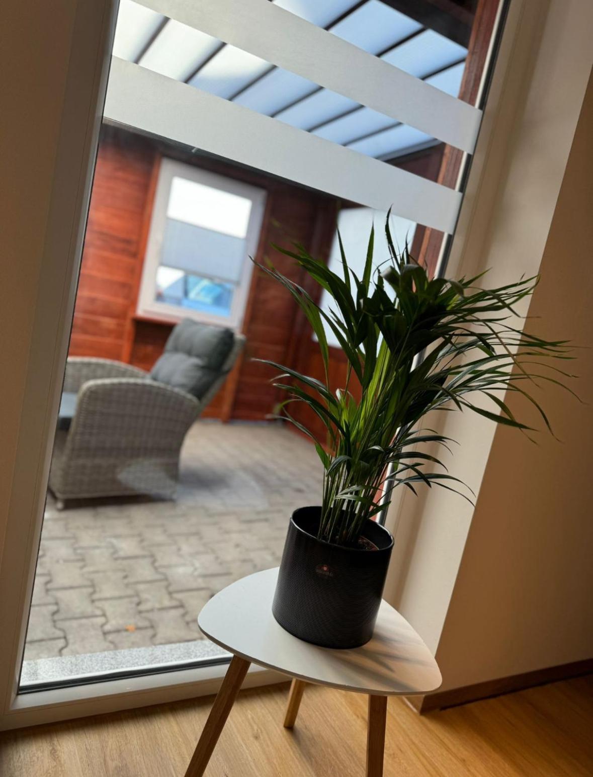 Ferienwohnung Neue Quickbox Thale Exterior photo